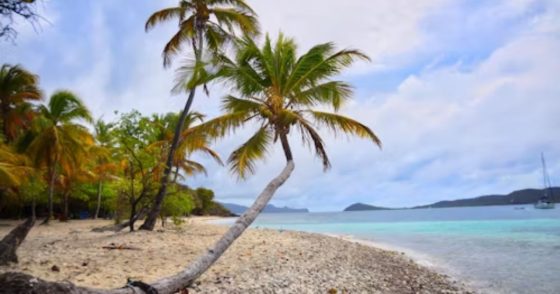 Private Island Vacation: Live the Dream $100K