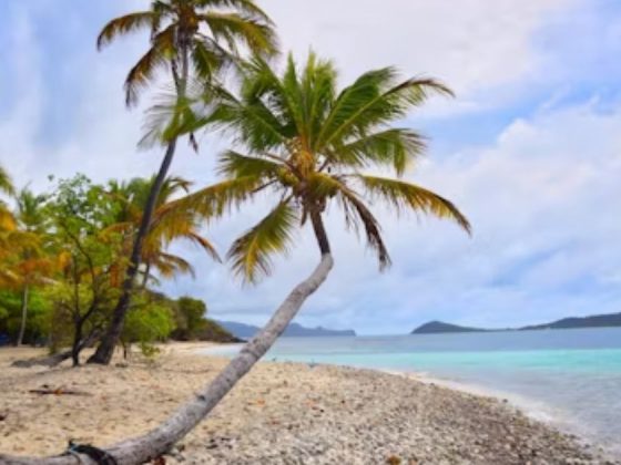 Private Island Vacation: Live the Dream $100K