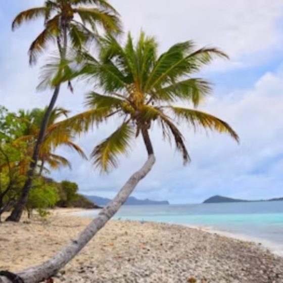 Private Island Vacation: Live the Dream $100K