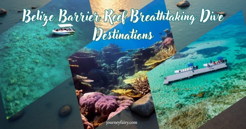 Belize Barrier Reef Breathtaking Dive Destinations